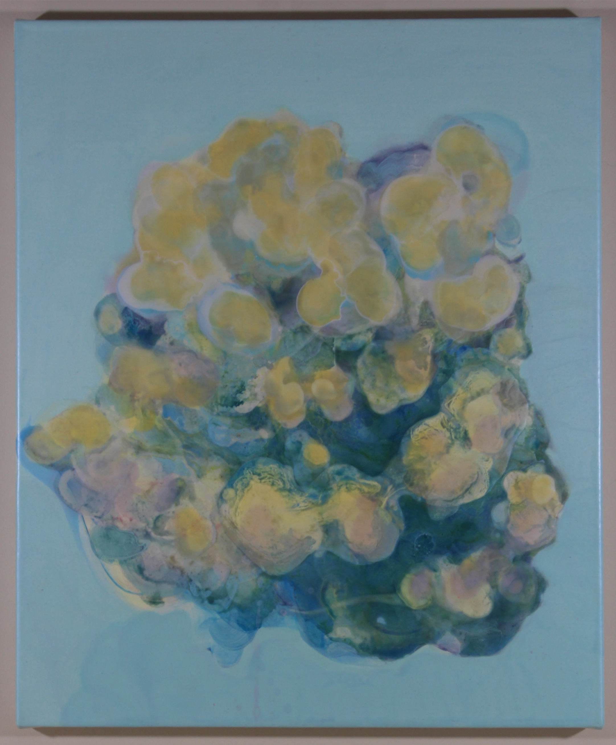 Timothy Lapointe