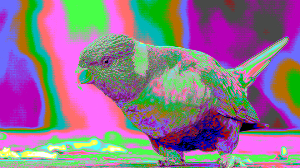 Macintosh Halftone result